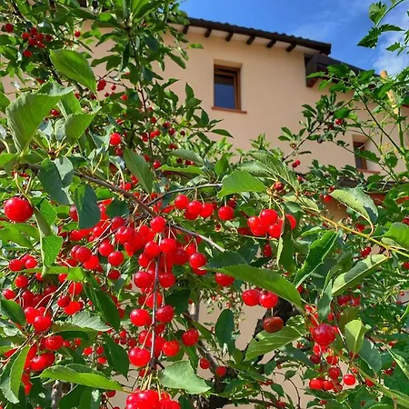 Casa Due Marie Boutique Near Modena & Maranello 4* Marano sul Panaro