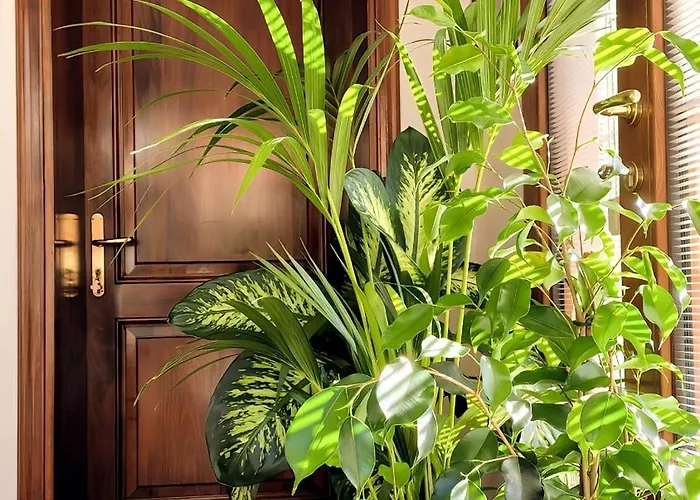 بيت ضيافة Casa Due Marie Boutique Near Modena & Maranello 4*